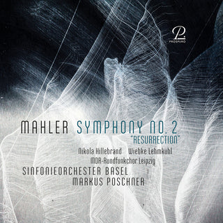 the album cover for Wiebke Lehmkuhl - Symphony No. 2