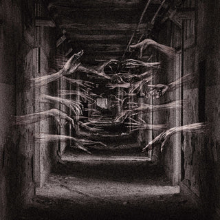 the album cover for Demonic Possessor - Porous Chambers