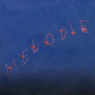 the album cover for Slow Pulp - Melodie