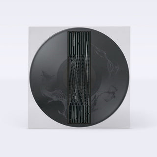 the album cover for Djrum - I Wander [Picture Disc]