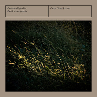 the album cover for Camerata Figarella - Canta In Cumpagnia