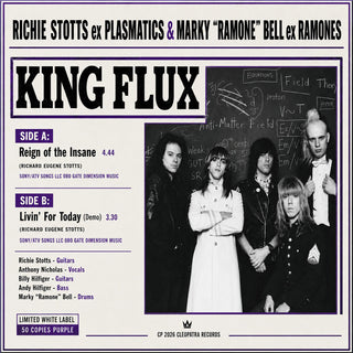 the album cover for King Flux - Reign of the Insane [Signed - Purple]