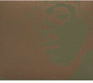 the album cover for Tadd Mullinix - Panes [Import]