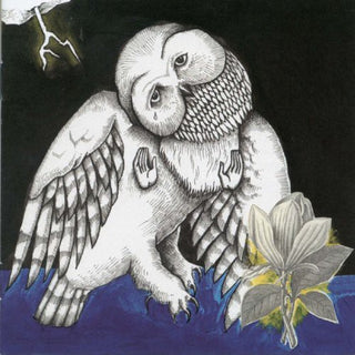 the album cover for Songs: Ohia - Magnolia Electric Co