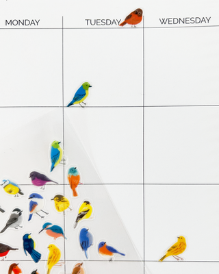 Birds Wildlands Stickers