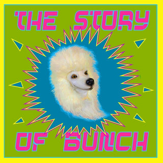 Landis Larry  Harry- Story Of Bunch (CD)