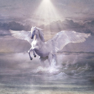 Cosmo- Sulle Ali Del Cavallo Bianco (Ger)