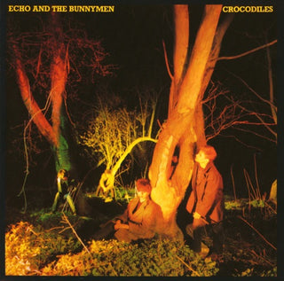 Echo & the Bunnymen- Crocodiles