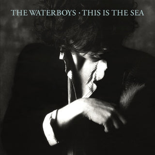The Waterboys- This Is The Sea