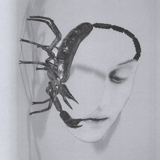 Tortoise- Touch - incl. Bonus Track