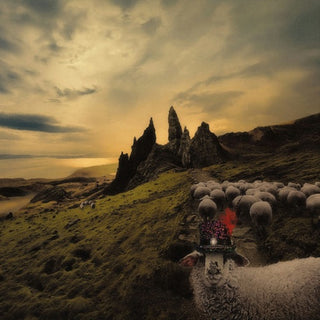 Franck Carducci- Sheeple (CD)