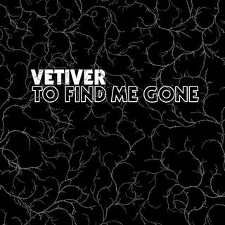 Vetiver- To Find Me Gone