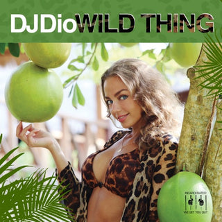 DJ Dio- Wild Thing (Mod)