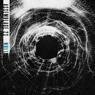 Assemblage 23- Null