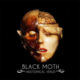 Black Moth- Anatomical Venus