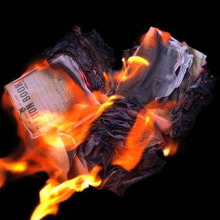Peter Jobson  Alexander- Burn The Ration Books Of Love (Uk)