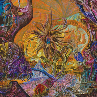 Chytridiomycosis Relinquished - Orange/royal Blue