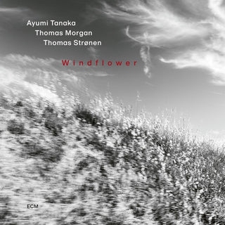 Ayumi Tanaka / Morgan,Thomas / Stronen,Thomas- Windflower (CD)