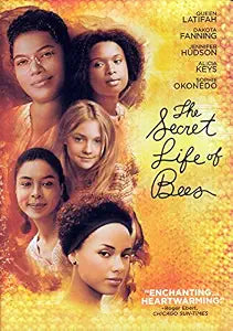The Secret Life Of Bees (Used DVD)
