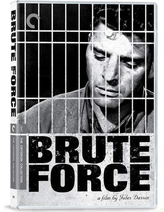 Brute Force (Criterion)