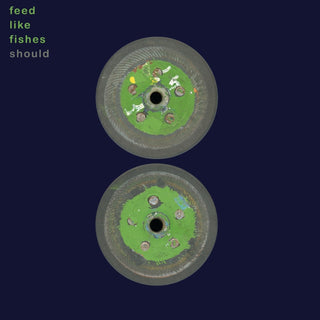 Should- Feed Like Fishes (Ocean Warm Colored Vinyl)