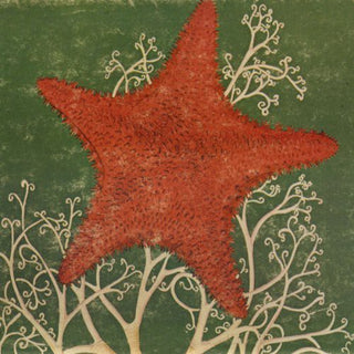 the album cover for Blithe Sons - Arm of the Starfish