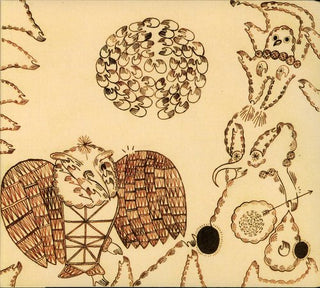 the album cover for Devendra Banhart - Rejoicing in the Hands