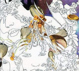 the album cover for Dykehouse - Midrange