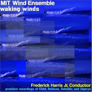 the album cover for Mit Wind Ens - Waking Wings