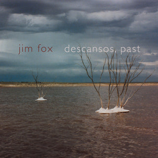 the album cover for Rachel Arnold - Descansos Past