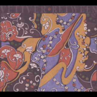 the album cover for Vetiver - Between