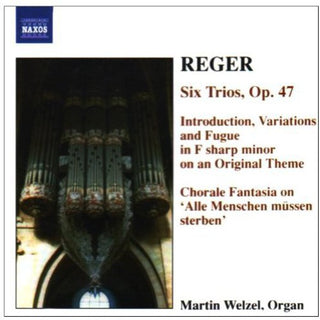 the album cover for Martin Welzel - Organ Works 6