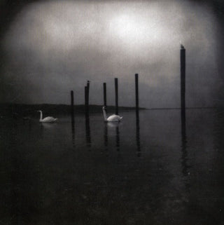 the album cover for Om - Conference of the Birds