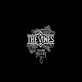 the album cover for The Vines - Vision Valley