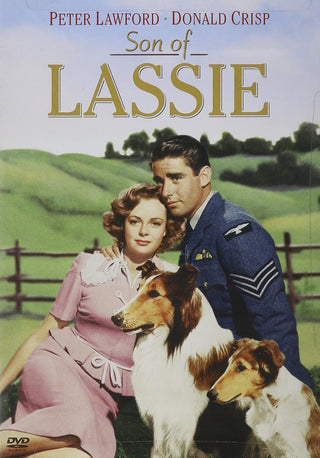 Son Of Lassie