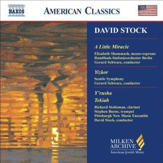 the album cover for David Stock - Little Miracle