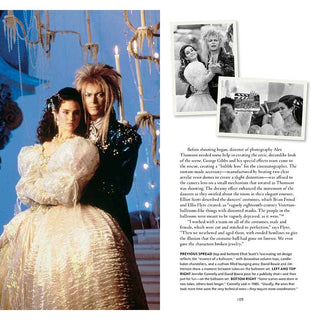 Labyrinth: The Making Of Jim Henson's Iconic Film by Paula M. Block & Terry J. Erdmann