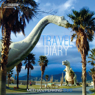the album cover for Meehan - Travel Diary
