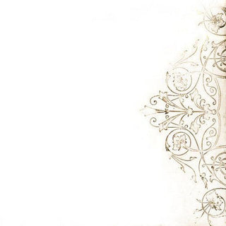 Damien Jurado- And Now That I'm in Your Shadow