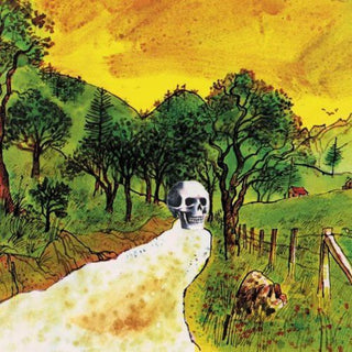 the album cover for Skygreen Leopards - Disciples of California