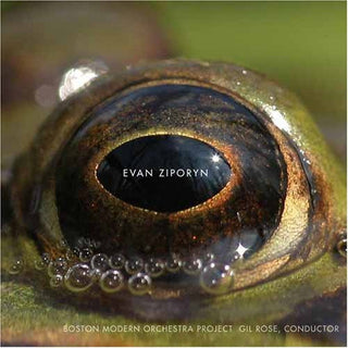 the album cover for Gil Rose - Frog's Eye: Orchestral Works