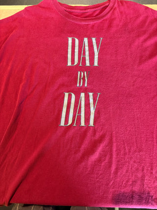 Day By Day Ingrained In Stone T-Shirt, Red, XL