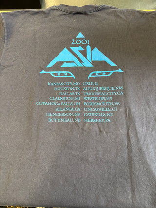 2001 Asia Tour T-Shirt, Black, XL