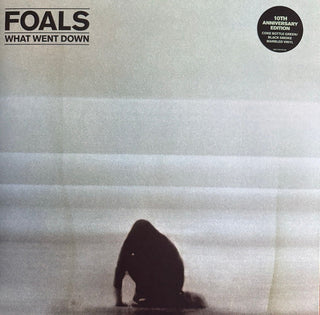 Foals- What Went Down