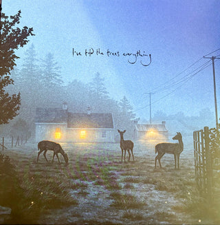Dermot Kennedy- I've Told The Trees Everything