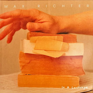 Max Richter- In a Landscape