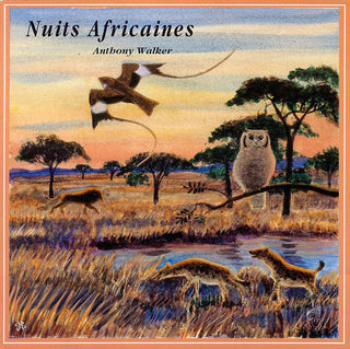 Sounds Of Nature- African Sounds at Dusk