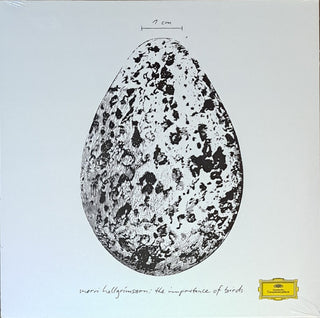 Snorri Hallgrmmsson- Importance of Birds