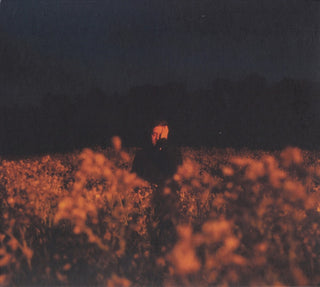 Benjamin Francis Leftwich- Some Things Break