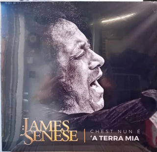 James Senese- Chest Nun A A Terra Mia (Ita)